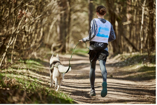 How I achieved injury-free running, for now at least  :) - Trek, Trail & Fish NZ