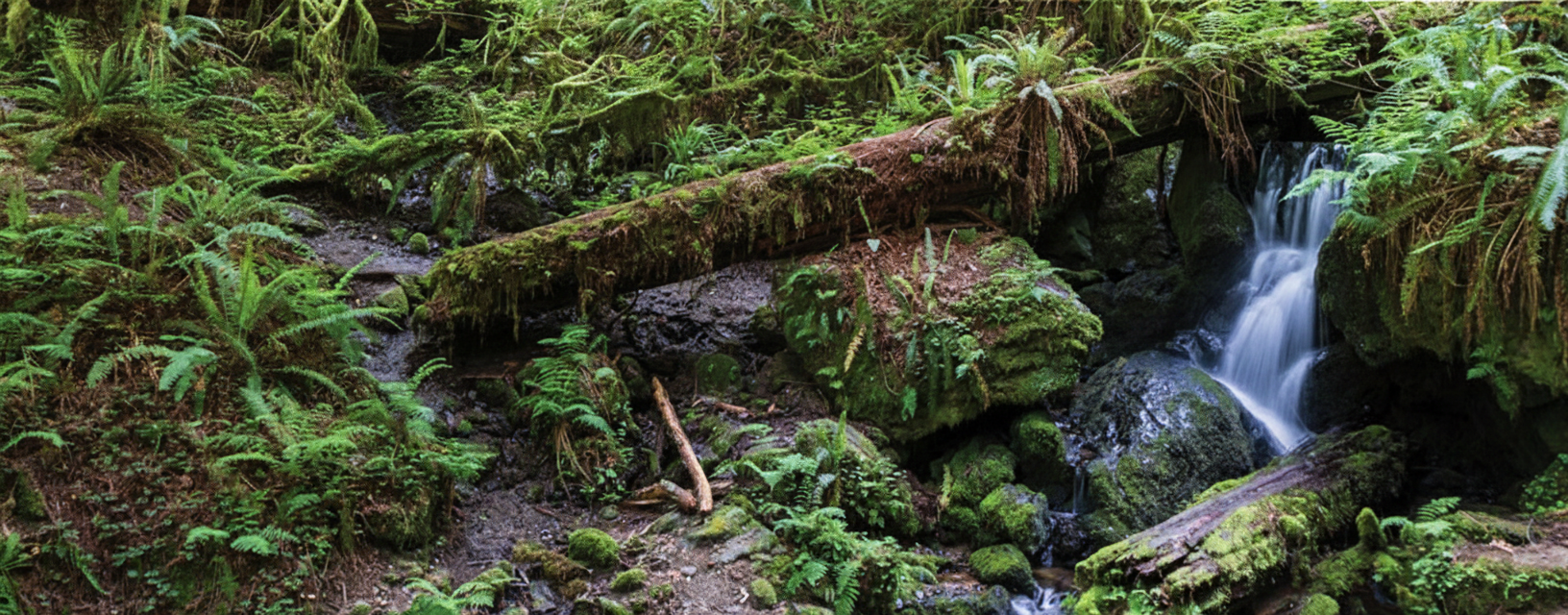 New In - Trek, Trail & Fish NZ