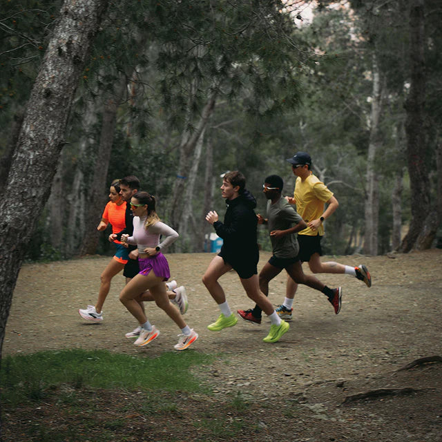 Group of runners in a forested area