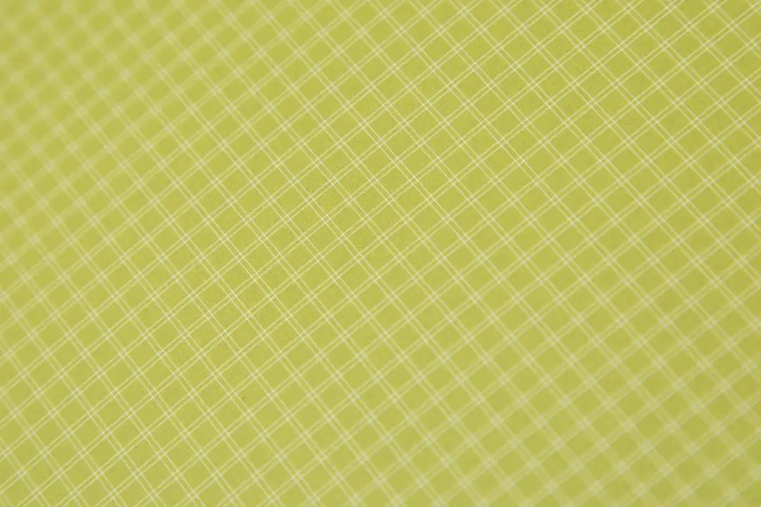 Nemo Dagger OSMO lightweight 2person tent - Tents - Trek, Trail & Fish NZ