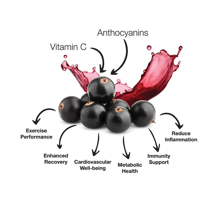 Pure Performance + Race Ready Anthocyanins - 60 capsules - Capsules - Trek, Trail & Fish NZ