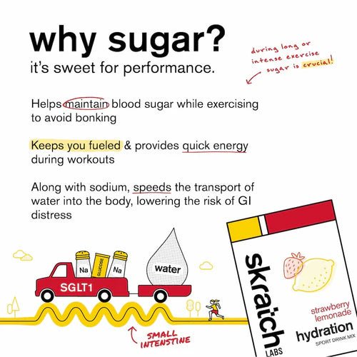 Skratch Hydration Sport Drink Mix - Drink Mix - Trek, Trail & Fish NZ